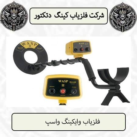 فلزیاب وایکینگ واسپ