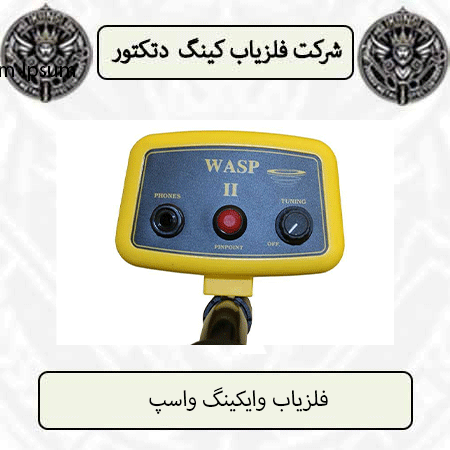 فلزیاب وایکینگ واسپ